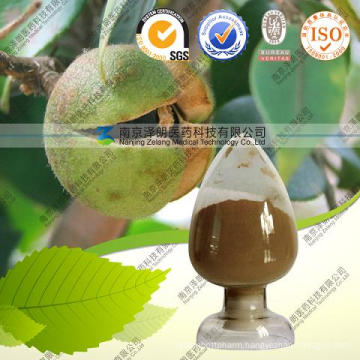 Tea Seed Extract